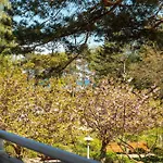 Apartmán 15 